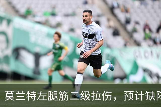 莫兰特左腿筋二级拉伤，预计缺阵四周以上
